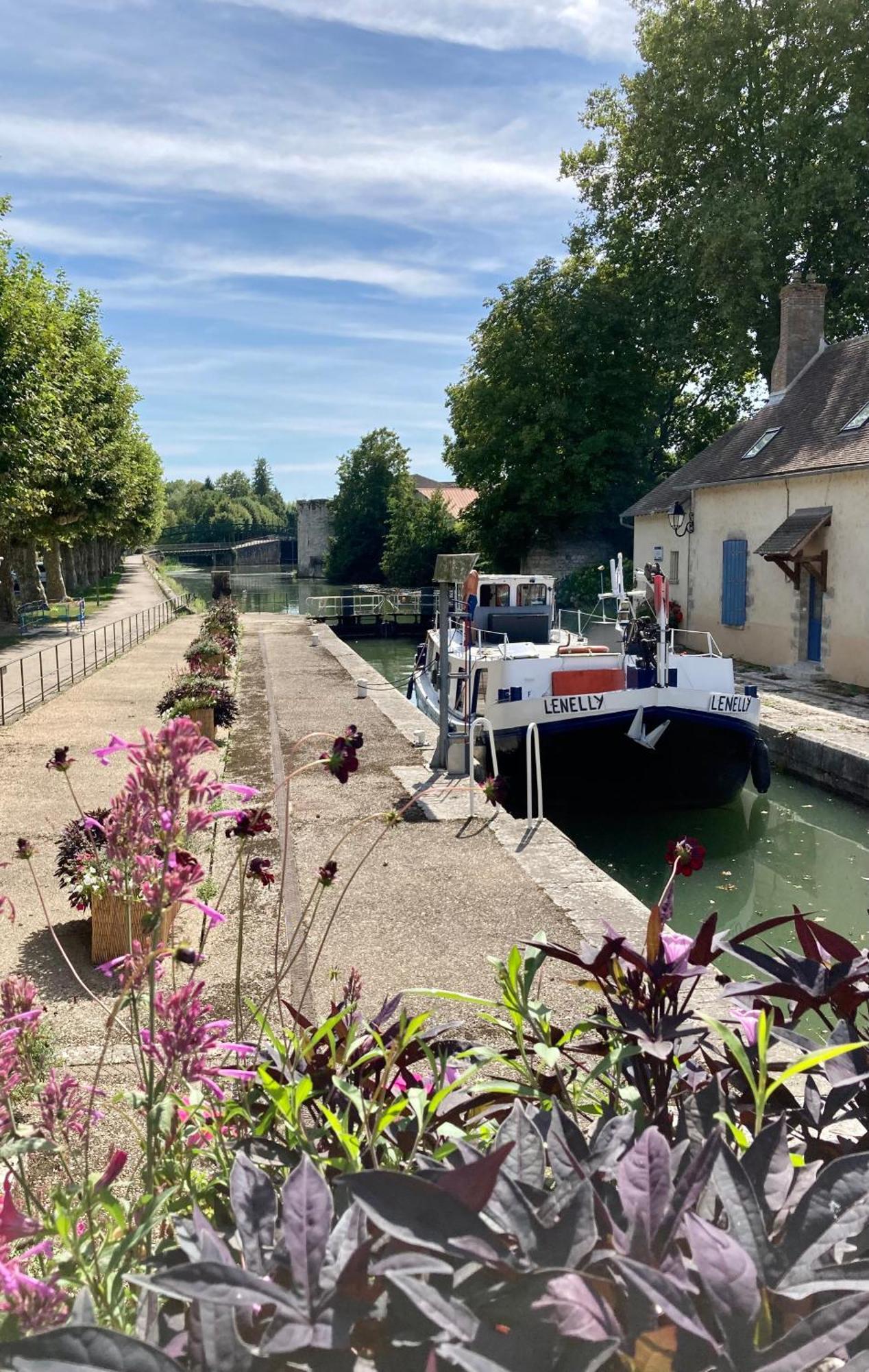 La Maison Virginie 1 A 2 Pers Charmant Hyper Centre- Cour- Parking- Linge- Fibre- Proximite Lac Canal Piscine Монтаржи Экстерьер фото